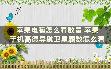 苹果电脑怎么看数量 苹果手机高德导航卫星颗数怎么看